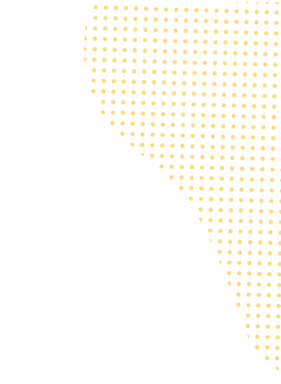 背景イメージsp2