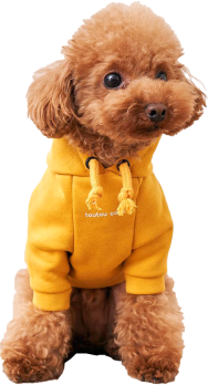 住宅ローン診断で５つのわかる!２つのできる!